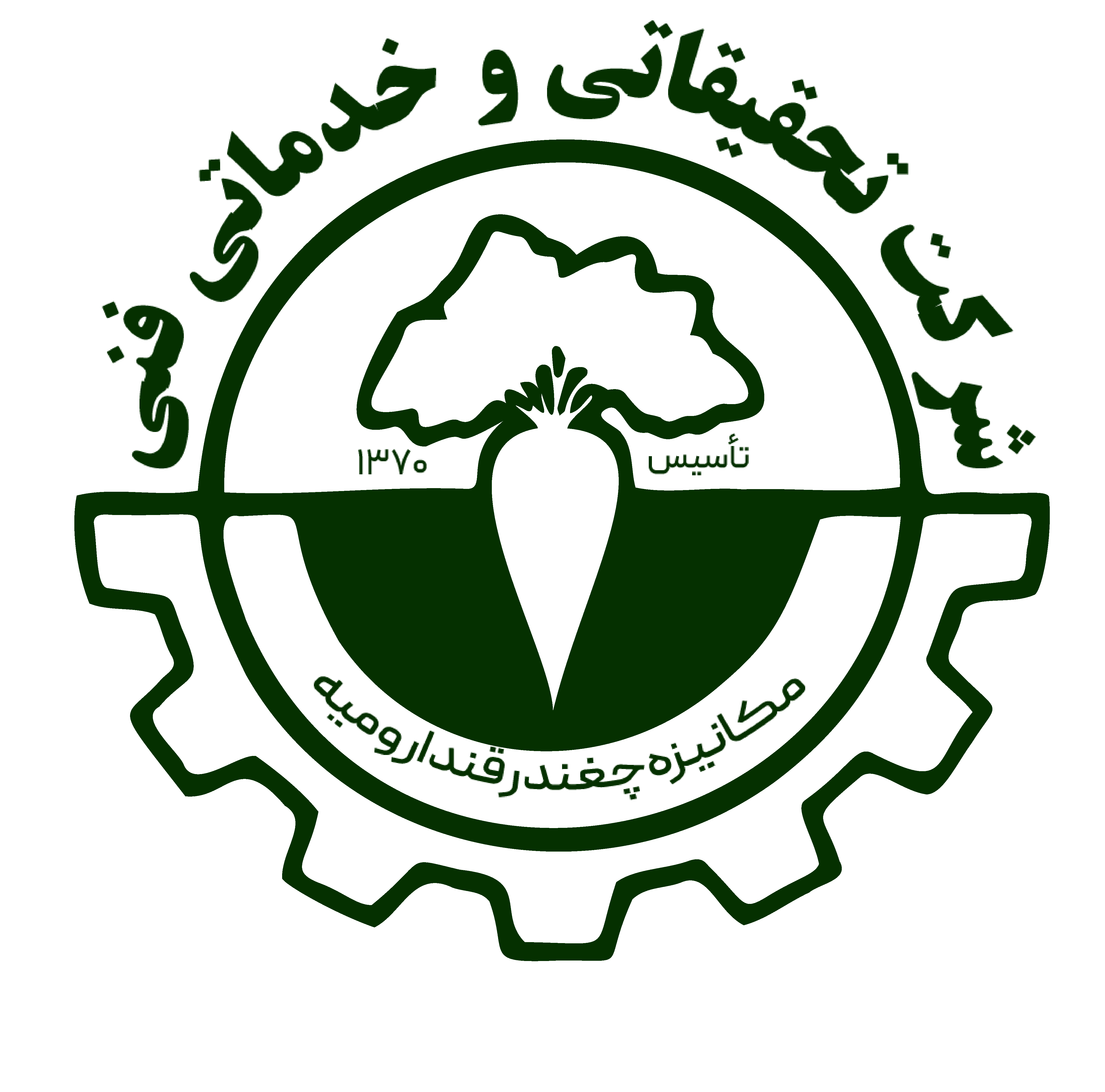 چغندر